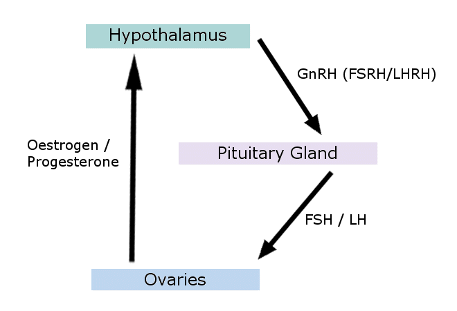 natural fertility